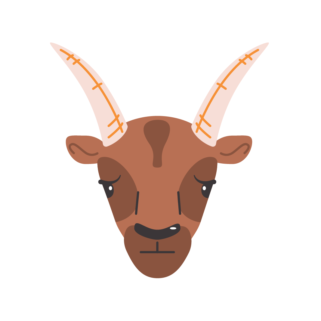 Capricorno